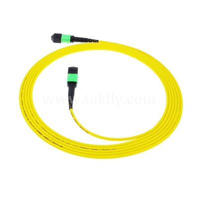 MPO MTP Patchcord SM Trunk Cable 12F Fiber Optic for Data Center AI Telecom FTTX Cabling