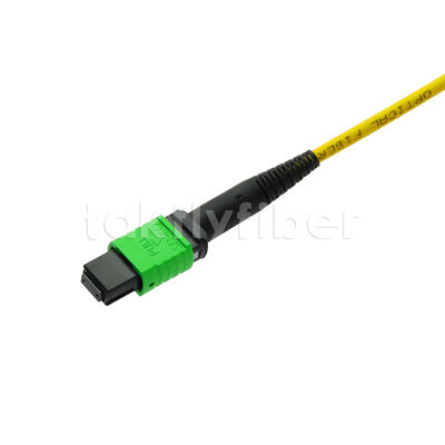 MPO MTP Patchcord SM Trunk Cable 12F Fiber Optic for Data Center AI Telecom FTTX Cabling