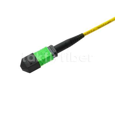 MPO MTP Patchcord SM Trunk Cable 12F Fiber Optic for Data Center AI Telecom FTTX Cabling
