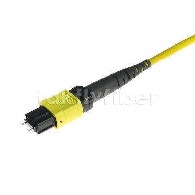 MPO MTP Patchcord SM Trunk Cable 12F Fiber Optic for Data Center AI Telecom FTTX Cabling