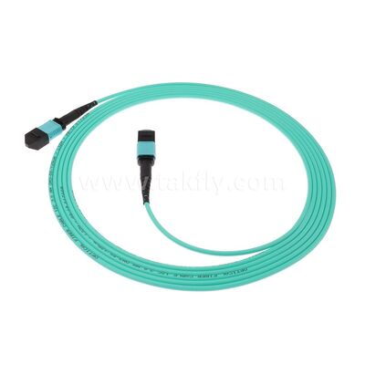MPO MTP Patchcord Multimode OM3 Trunk Cable 12F Fiber Optic for Data Center AI Telecom Cabling
