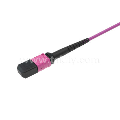 MPO MTP Patchcord Multimode OM4 Trunk Cable 24F Fiber Optic for Data Center AI Telecom Cabling