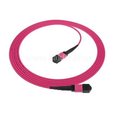MPO MTP Patchcord Multimode OM4 Trunk Cable 24F Fiber Optic for Data Center AI Telecom Cabling