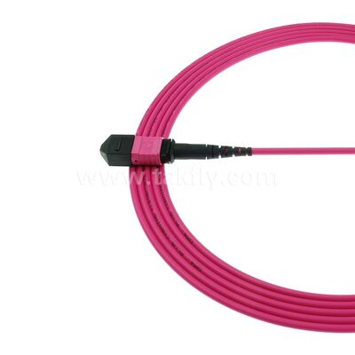 MPO MTP Patchcord Multimode OM4 Trunk Cable 12F Fiber Optic for Data Center AI Telecom Cabling