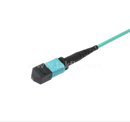 MPO/MTP OM3 Multimode Patch Cord – High-Density 40G/100G Data Center Trunk Cable, Low Insertion Loss