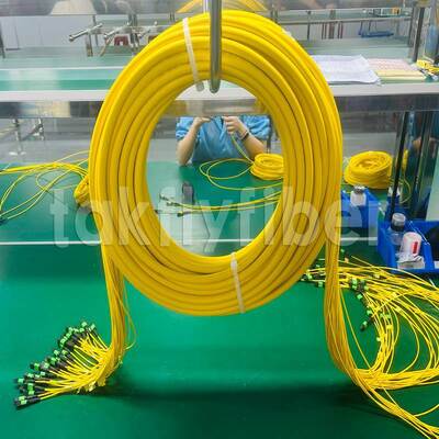 Takfly 288-Fiber MPO/MTP Ultra-Density Patch Cord