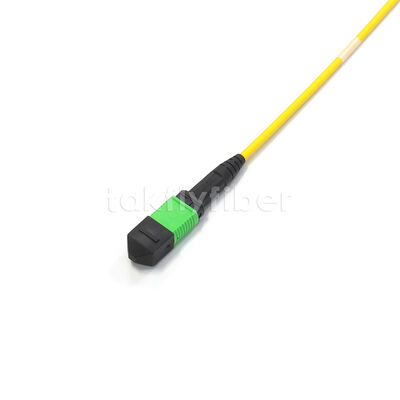 Amphenol Customized 288 Fibers 0.35dB Max Insertion Loss Singlemode OS2 MPO Trunk Cable for Data Center