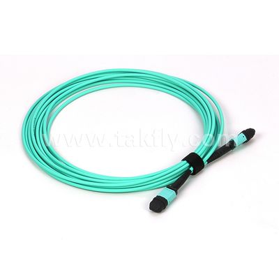 Multi Mode Fiber Optic Cable 12/24 Cores Mpo Mtp Om3 for Data Center Application
