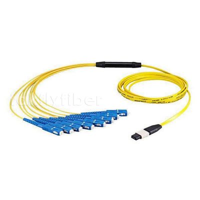 MPO Fan Out Cable MTP F - SC OM3 12/24/48 Core Fiber Optic Patchcord