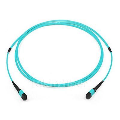 Low Insertion Loss 8/12/24 Cores OM4 Multimode MPO/MTP Fiber Optic Patch Cord for High-Speed Networks