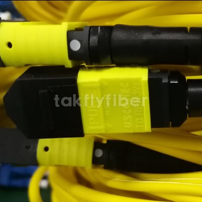 MPO SC 2.0mm 3.0mm Fanout Cable 24/48 Cores With CPR Rated MPO MTP Patch Cord