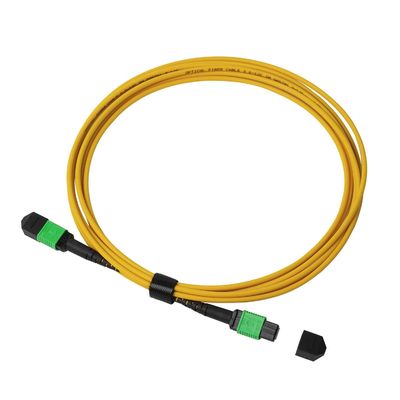 8F 12F 24F MTP MPO Fiber Trunk Cable LSZH For 10G 40G 100G 400G