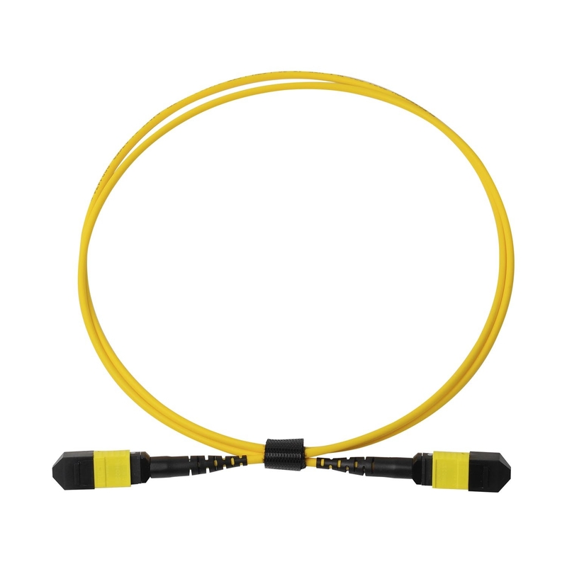 Plenum OFNP MPO Patch Cord 1m 3ft MTP-12 APC Female to MTP-12 APC Female Single Mode OS2
