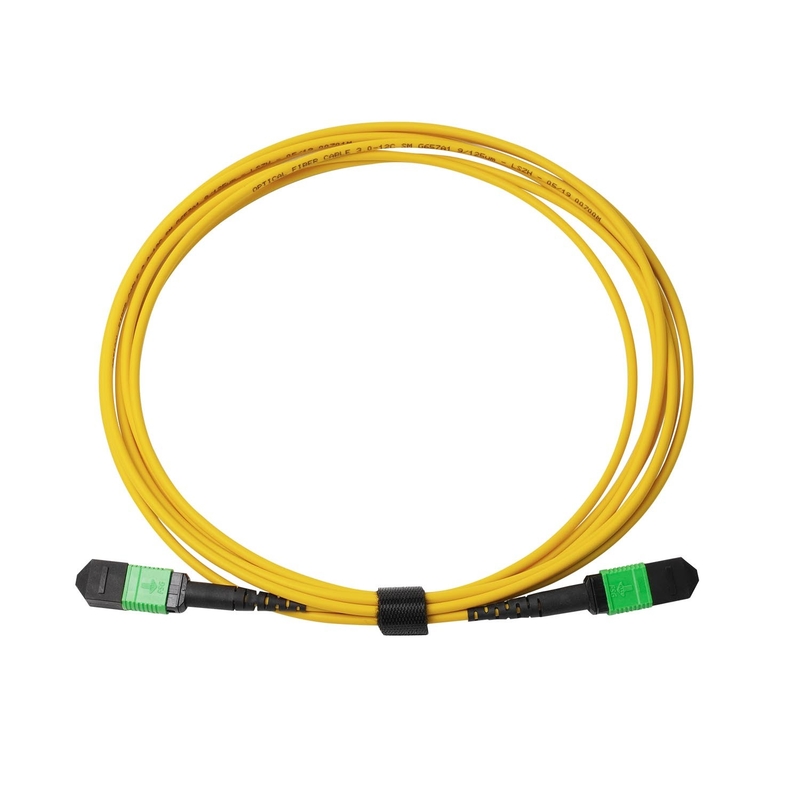 3m 10ft MTP-12 APC Female to MTP-12 APC Female Single Mode OS2 Plenum MPO Patch Cord Yellow
