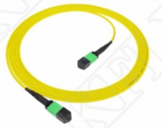 2m 7ft MTP Patch Cord Plenum OFNP MPO Patch Cord Cable 3.0mm MTP 12F APC Female Elite