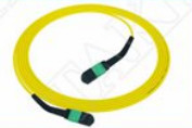 MTP-12 APC Female to MTP-12 APC Female Singlemode OS2 Plenum OFNP Type A MPO patch cord