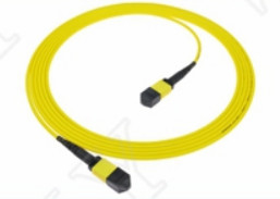MTP-12 APC Female to MTP-12 APC Female SingleMode OS2 Plenum OFNP Type A MPO Patch Cord 5m 16ft