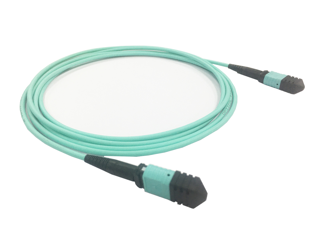 Elite Multimode OM3 50/125, Plenum OFNP Type B MPO Patch Cord 3m 10ft MTP-12 PC Female To MTP-12 PC Female