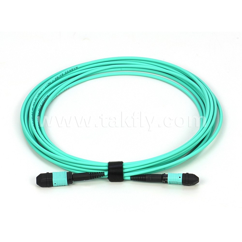 Elite Multimode OM3 50/125 Plenum OFNP Type B MPO Patch Cord 30m 100ft MTP-12 PC Female To MTP-12 PC Female