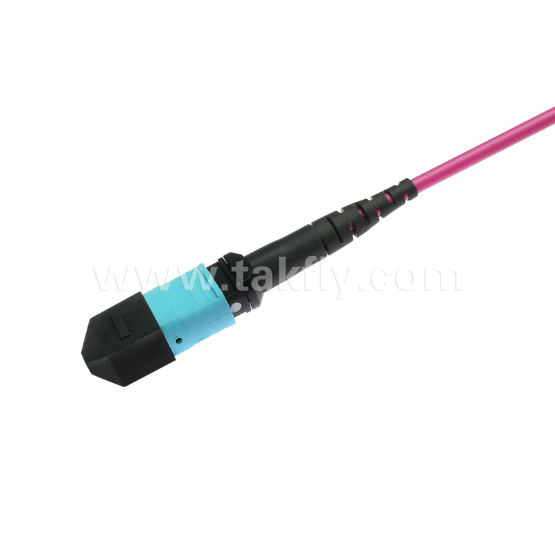 Elite Multimode OM4 50/125, Plenum OFNP Type B MPO patch cord 3m 10ft MTP-12 PC Female to MTP-12 PC Female