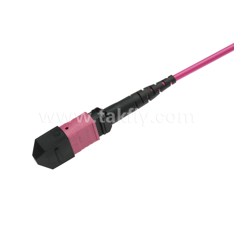Elite Multimode OM4 50/125, Plenum OFNP Type B MPO Patch Cord 5m 16ft MTP-12 PC Female To MTP-12 PC Female