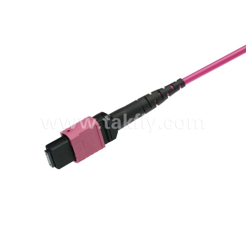 Elite Multimode OM4 50/125 Plenum OFNP Type B MPO Patch Cord 3.0mm Cable 10m 33ft MTP-12 PC Female to MTP-12 PC Female
