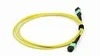 MPO-MPO Fiber Patch Cord for Data Center 8-24 Core