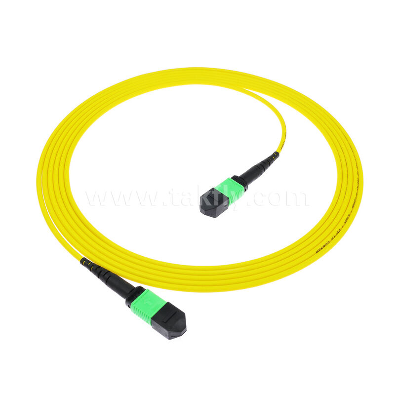8F 12F 16F 24F MPO MTP Male Female SM OS2 G652D G657A1 G657A2 Fiber Optic Patchcord / Optical Fiber Patch Cable / Optical Breakout Cable/ Optical Fiber Trunk Cable for High Density Data Center