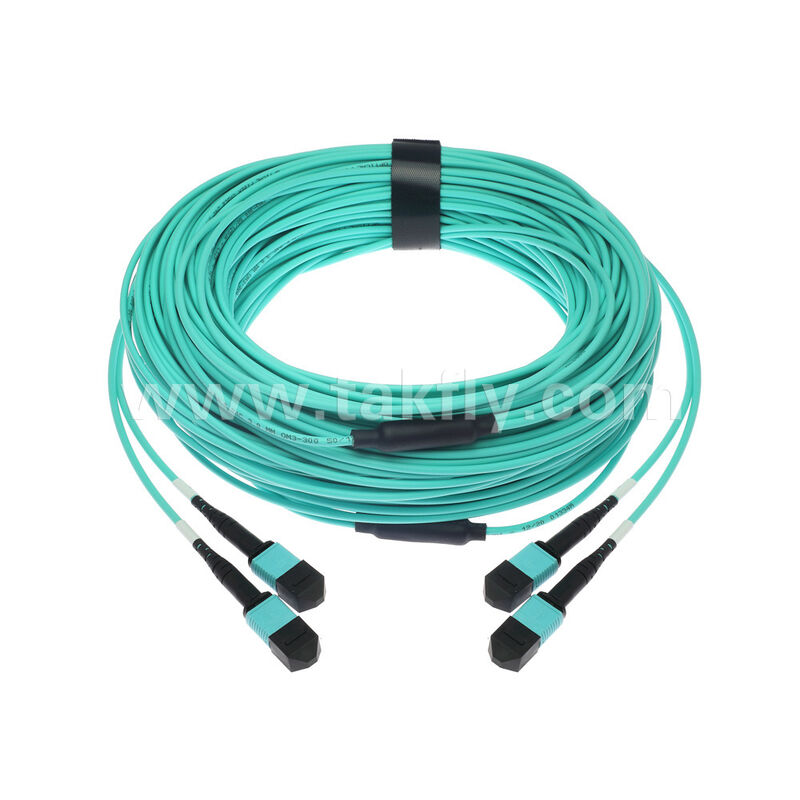 OM3 OM4 Multimode 24 fibers 2x12F MPO MTP- 2x12F MPO MTP Male Female Fiber Optic Patchcord / Optical Fiber Patch Cable / Optical Breakout Cable/ Optical Fiber Trunk Cable / Optic Fiber Fanout Cable