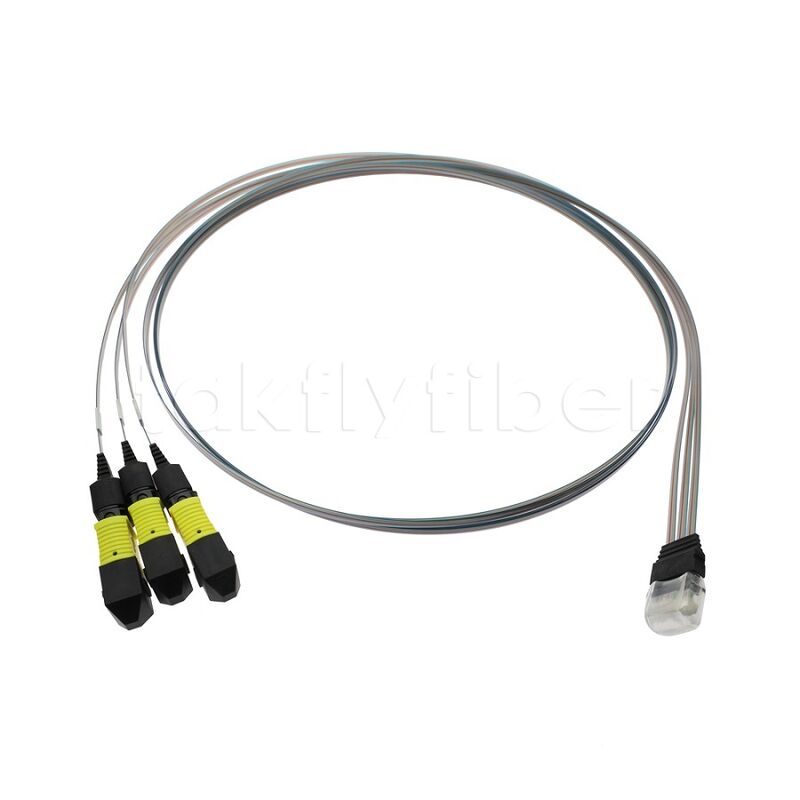 3x12F MTP - 36CH Fiber Array FA Assembly with High Transmission Rate Low Consumption and High Stability and Reliability