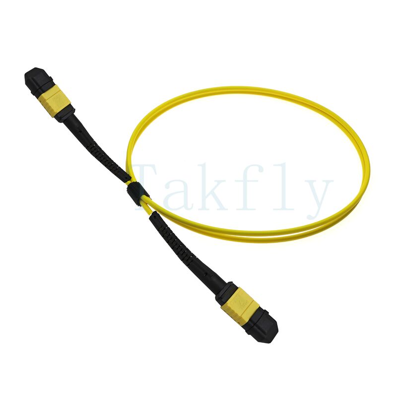12-Core MPO APC Fanout Patch Cord – Male to Female, Low Loss