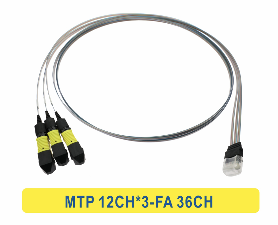 3*12F MTP to 36CH FA Fiber Array Fiber Optic Patchcord Cable