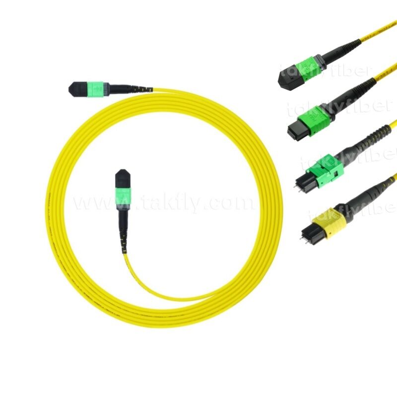 MPO MTP Patchcord SM Trunk Cable 12F Fiber Optic for Data Center AI Telecom FTTX Cabling