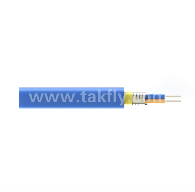 GJYPFJKH Stainless Steel Armored Indoor Cable – 2 Cores, 0.6/0.9mm Tight-Buffered, Aramid Strength, OFNR/OFNP/CPR Rated