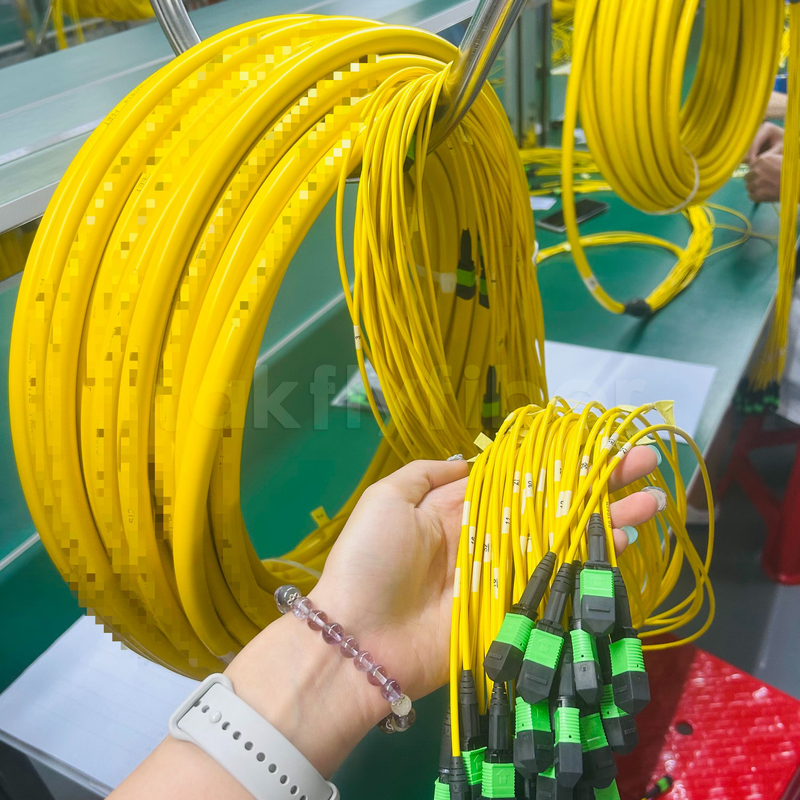 Takfly 288-Fiber MPO/MTP Ultra-Density Patch Cord
