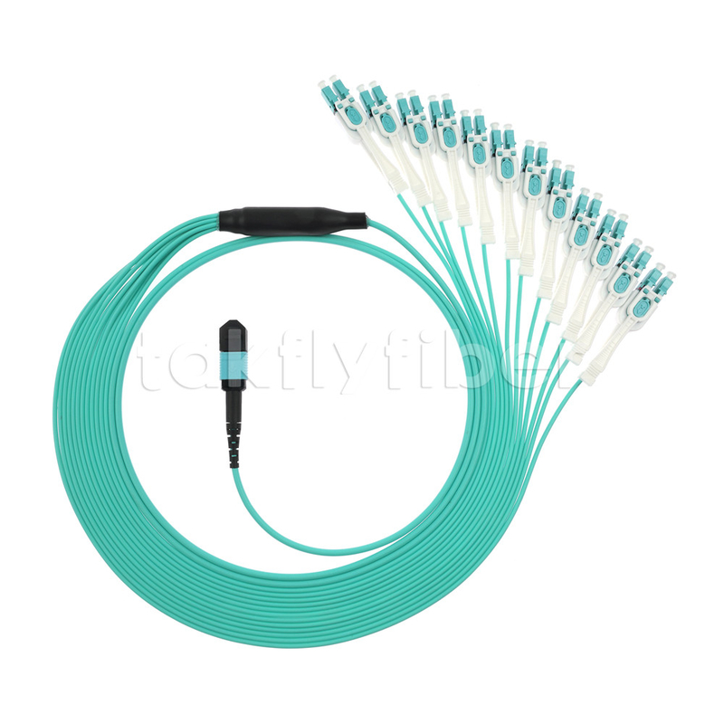 Fiber Optic MPO MTP Cable 24 Cores to 12LC DX Om3 Fanout Patch Cord for LANs and WANs