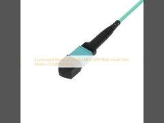 Customized Breakout Lengthe MPO MTP Multi-mode Fiber Mode ≤ 0.2dB Durability