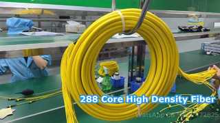 288F MPO/MTP PatchCord