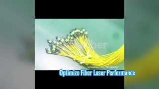 288F MPO MTP patchcord