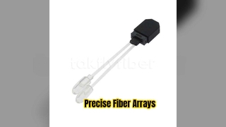 Takfly MT to Fiber Array Assemblies