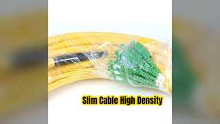 SC-LC 12F Patch Cord: Slim 12.5mm Cable, High Density